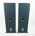 Von Schweikert VR-35 Floorstanding Speakers