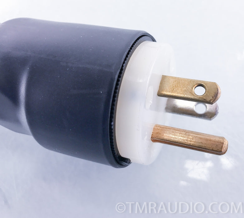 Synergistic Research Tesla T2 Power Cord