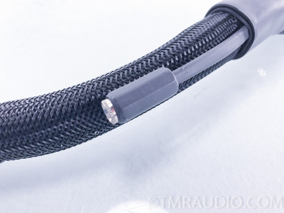 Synergistic Research Tesla T2 Power Cord