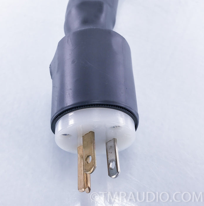 Synergistic Research Tesla T3 Power Cord