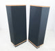 Vandersteen 2CE Floorstanding Speakers