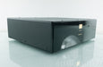 Audio Note DAC4.1 Signature Balanced Tube DAC
