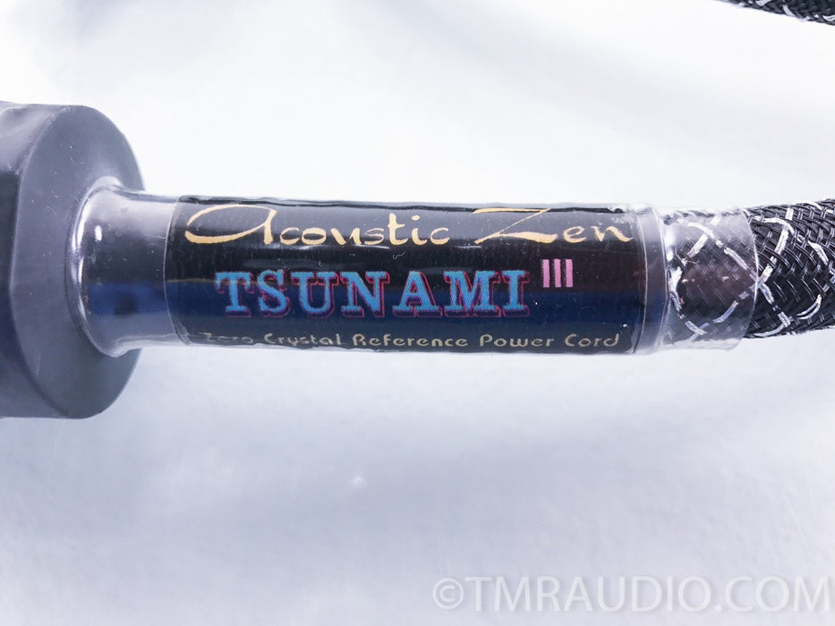 Acoustic Zen Tsunami III Power Cable