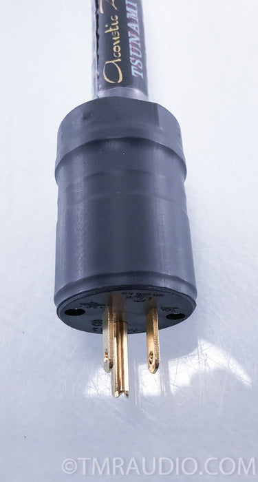 Acoustic Zen Tsunami III Power Cable