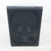 Rythmik FV15HP Direct Servo Powered Subwoofer