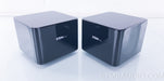 Steinmusic H2 Harmonizer System