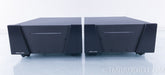 Wyred 4 Sound SX-500 Mono Amplifier