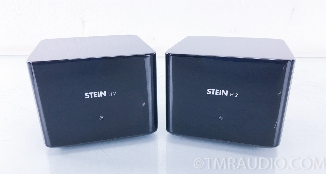 Steinmusic H2 Harmonizer System