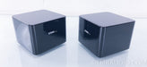 Steinmusic H2 Harmonizer System