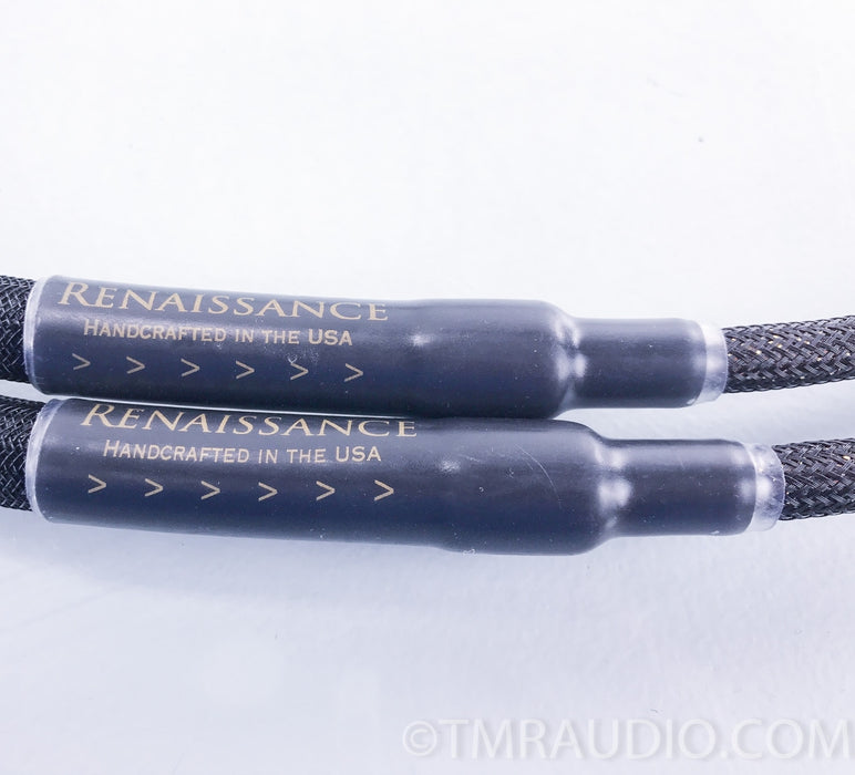 VooDoo Renaissance RCA Cables