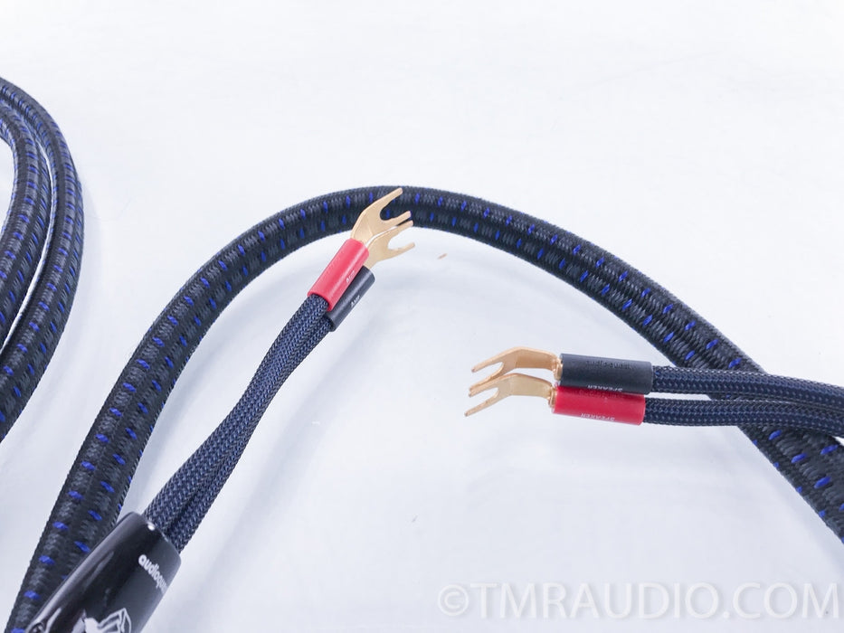 Audioquest Gibraltar 72v DBS Speaker Cables