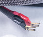 MIT Shotgun S3 Bi-wire 6m Speaker Cables