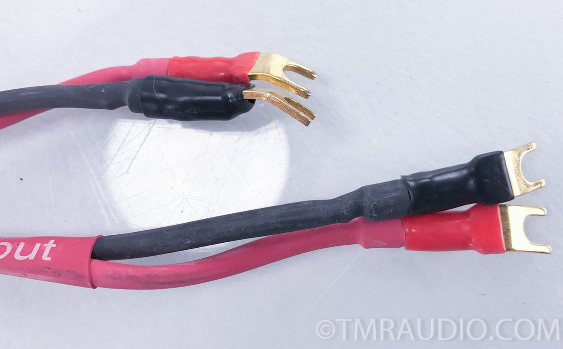 MIT Terminator 2 Bi Wire Speaker Interface Cables