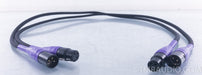 Silnote Audio Morpheus Reference II XLR Cables