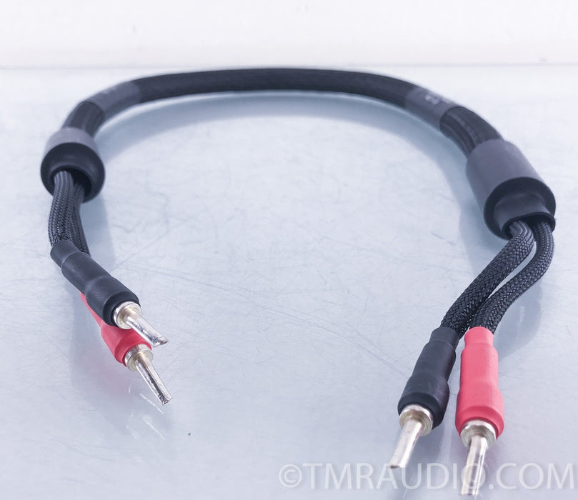 Silnote Audio Poseidon Ultra Reference MKII Speaker Cables 1m Pair