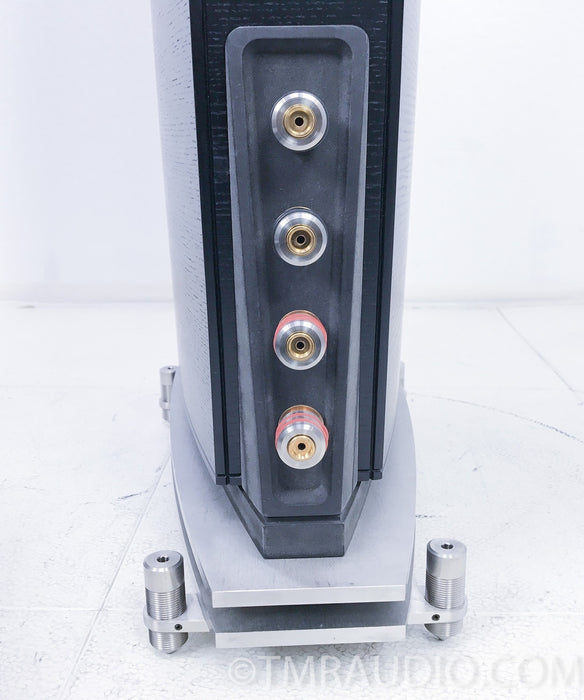 GamuT RS5i Floorstanding Speakers