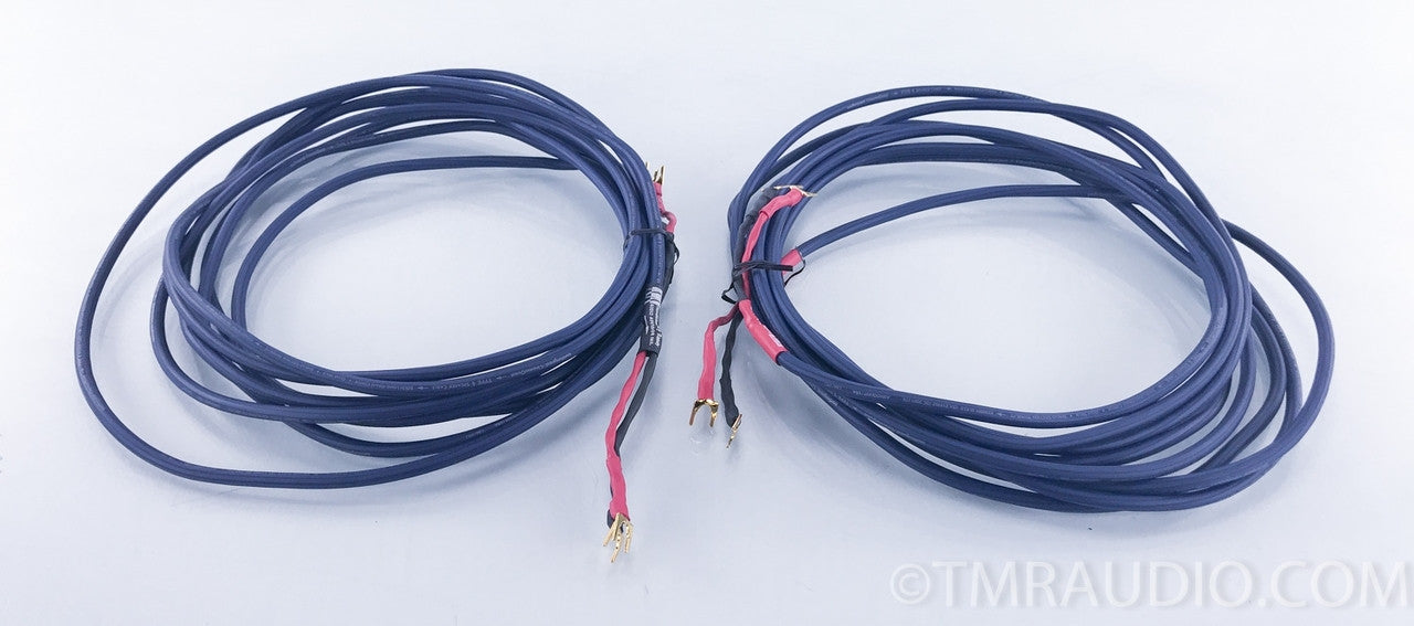 AudioQuest / CinemaQuest Type 4 Hyperlitz Speaker Cables
