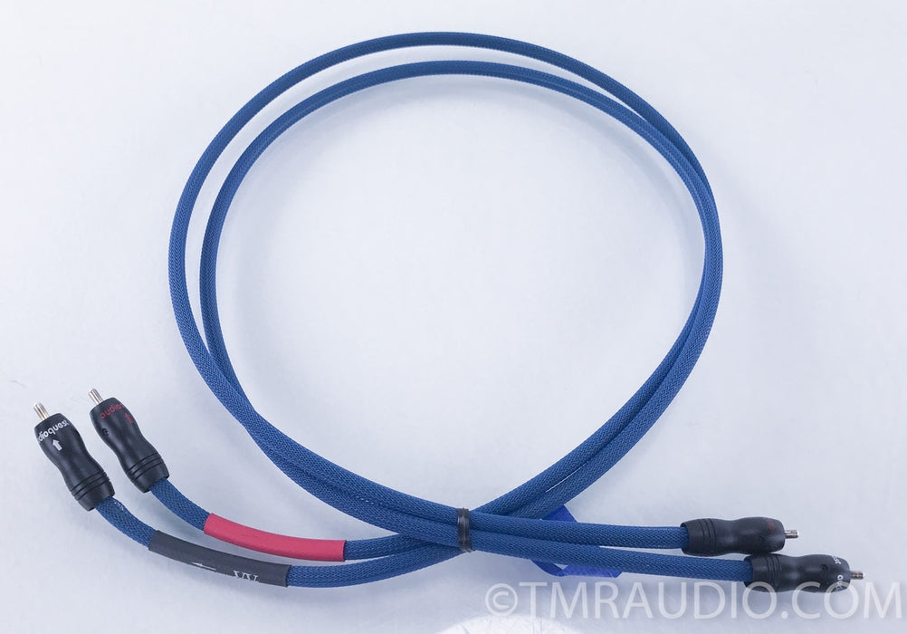 Audioquest RCA Interconnects Handmade by Audio Advisor's Randy Kaboos