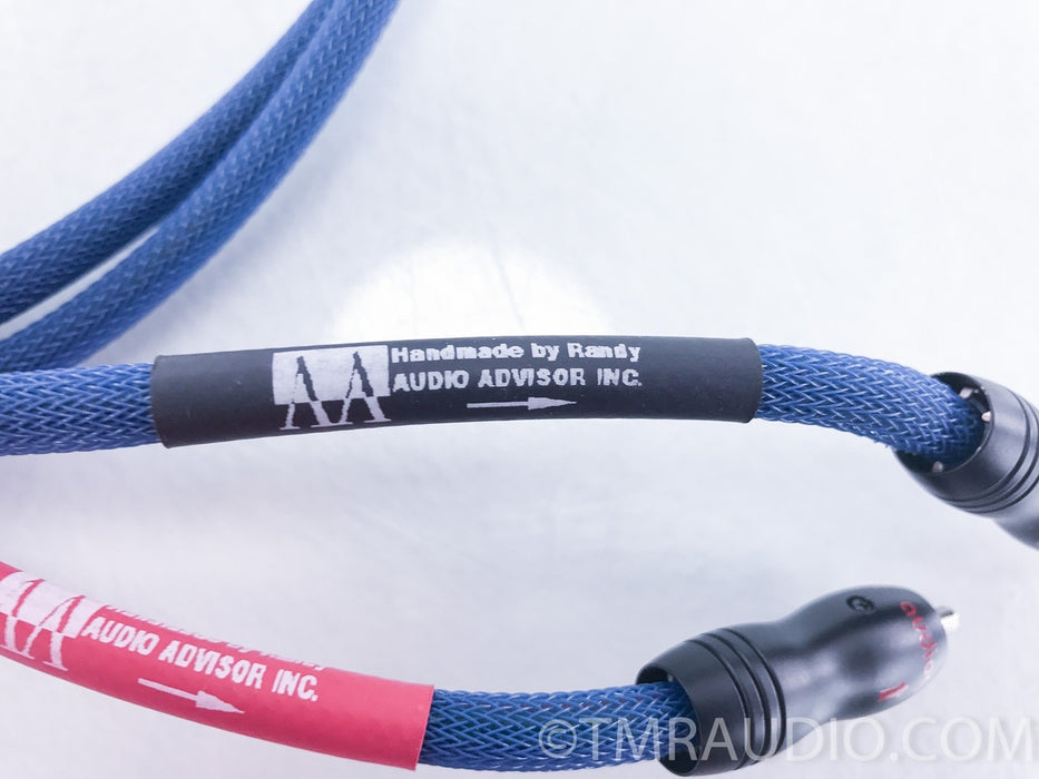 Audioquest RCA Interconnects Handmade by Audio Advisor's Randy Kaboos