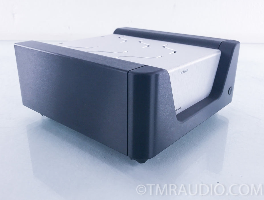 Wyred 4 Sound mAMP Mono-Block Power Amplifiers