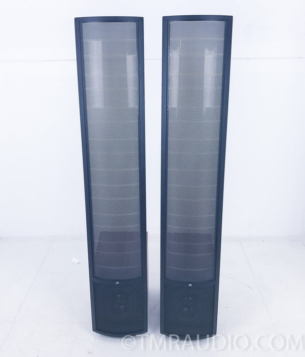 Martin Logan Ethos Electrostatic Hybrid Floorstanding Speakers