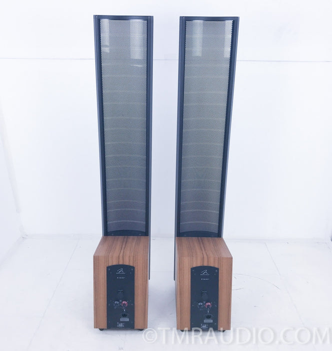Martin Logan Ethos Electrostatic Hybrid Floorstanding Speakers