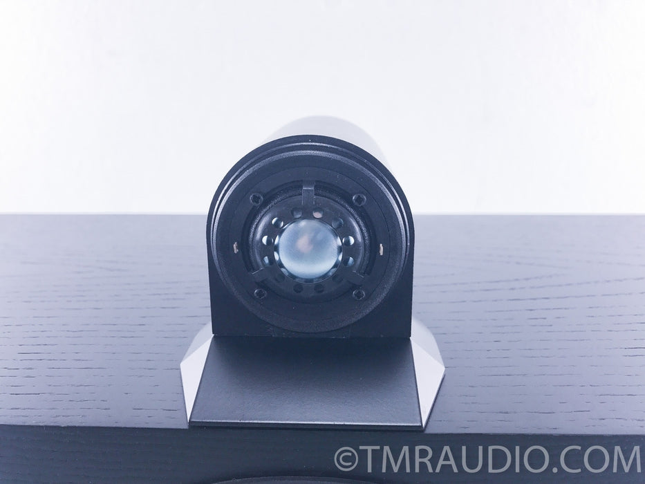 B&W Matrix HTM Center Speaker