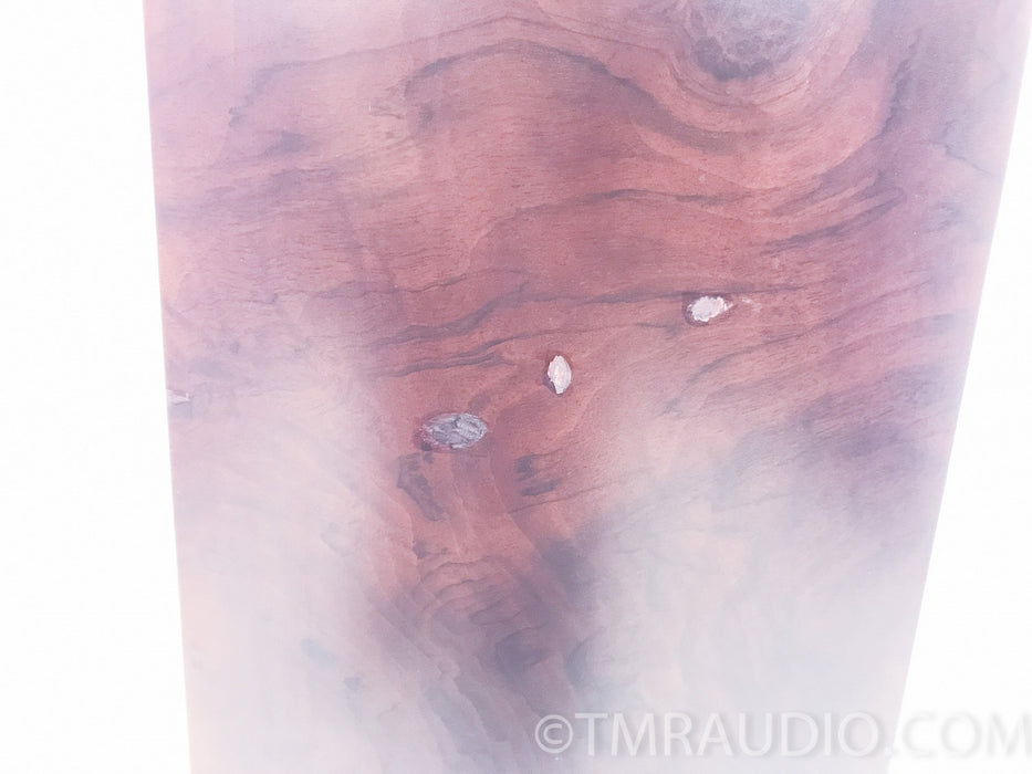 Acoustic Zen Adagio EXtreme Floorstanding Speakers