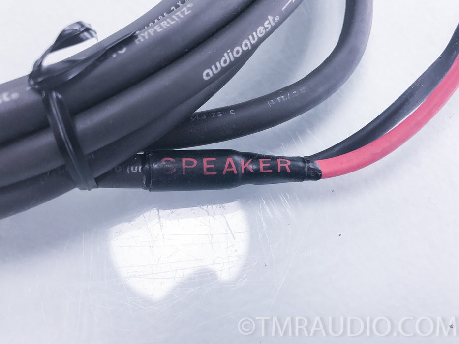 Audioquest SA-40 Hyperlitz Speaker Cable