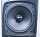 GoldenEar Technology Triton Five (5) Floorstanding Speakers