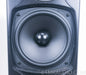 GoldenEar Technology Triton Five (5) Floorstanding Speakers