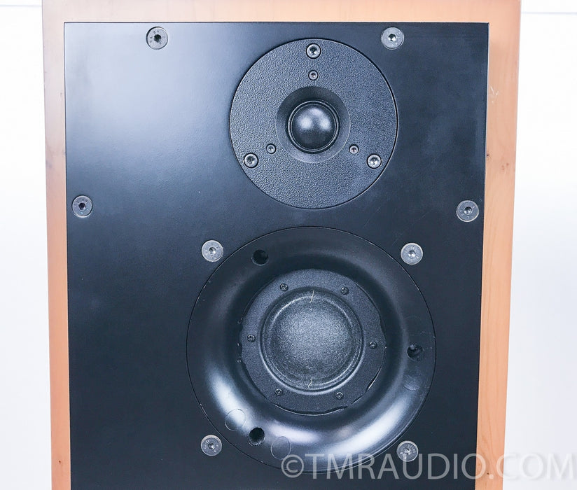 ATC SCM50 ASL Active Floorstanding Speakers