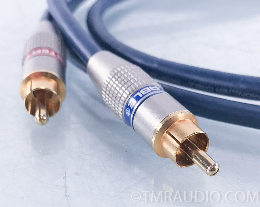 Monster Cable Interlink 300 RCA Cables