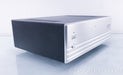 Cary Audio 500MB Mono Power Amplifiers