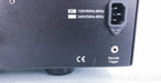 Cary Audio 500MB Mono Power Amplifiers