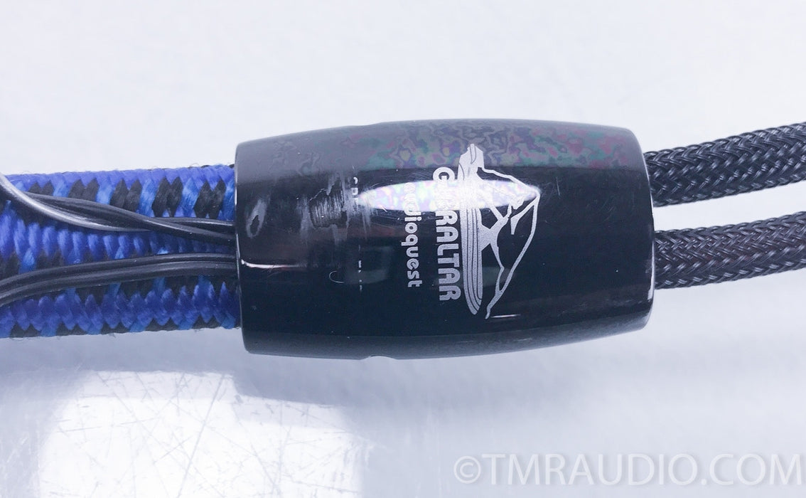 Audioquest Gibraltar 36v DBS Speaker Cables