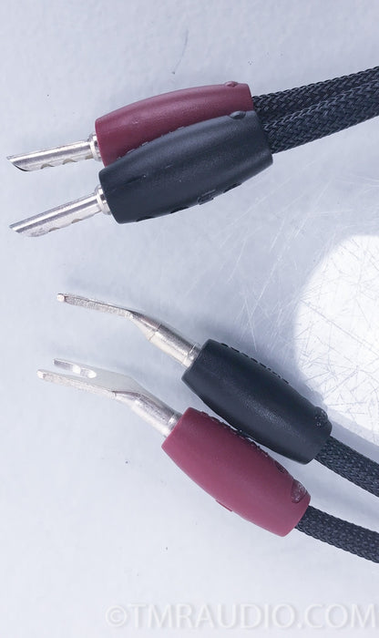 Audioquest Gibraltar 36v DBS Speaker Cables