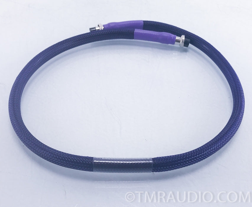Revelation Audio Labs Passage CryoSilver Reference 1m Umbilical for Cary Audio SLP 05