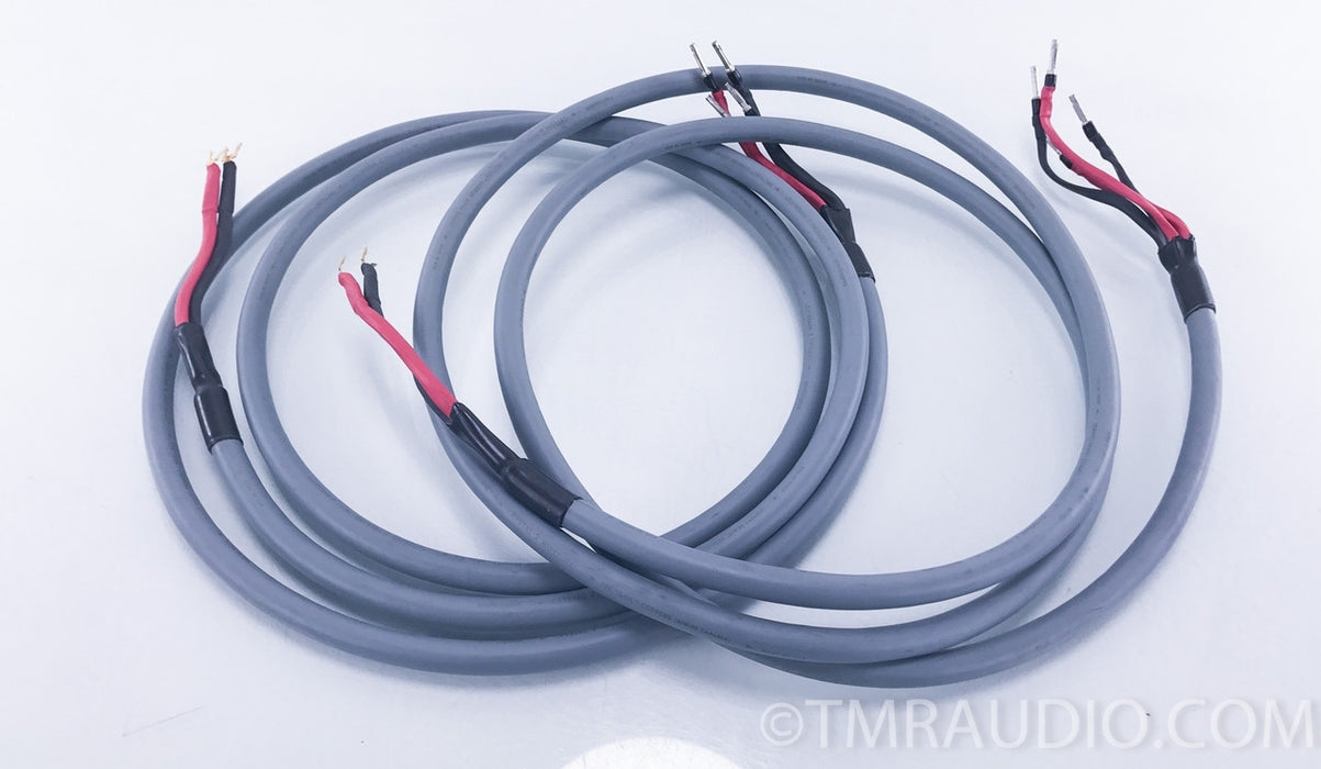 AudioQuest Crystal 2 Hyperlitz Bi-Wire Speaker Cables