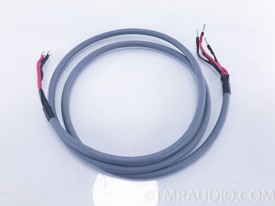 AudioQuest Crystal 2 Hyperlitz Bi-Wire Speaker Cables