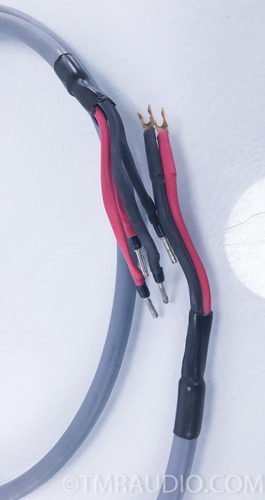 AudioQuest Crystal 2 Hyperlitz Bi-Wire Speaker Cables