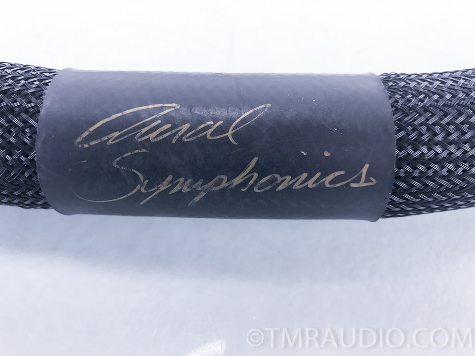 Aural Symphonics Missing Link Cubed V3 Power Cable