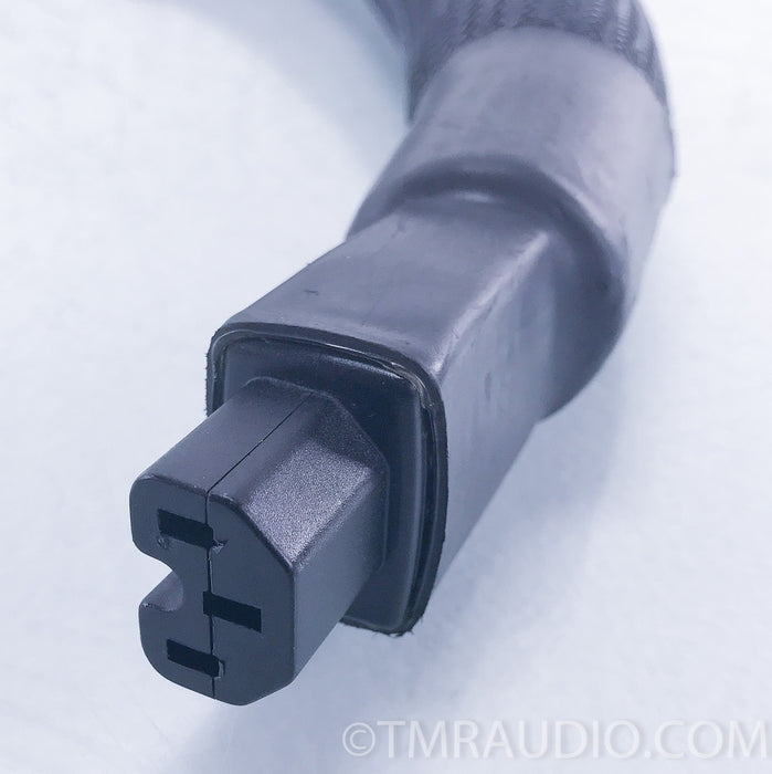 Aural Symphonics Missing Link Cubed V3 Power Cable