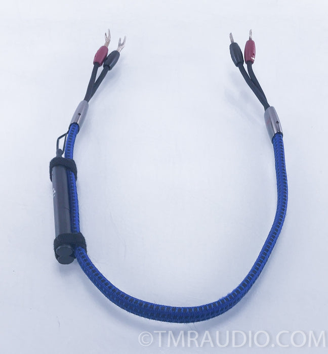 Audioquest Gibraltar 36v DBS 3 ft. Speaker Cable (SINGLE)
