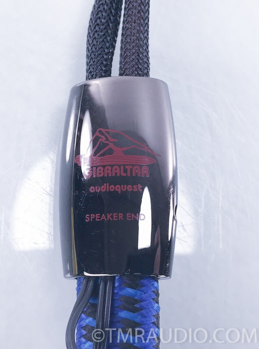 Audioquest Gibraltar 36v DBS 3 ft. Speaker Cable (SINGLE)