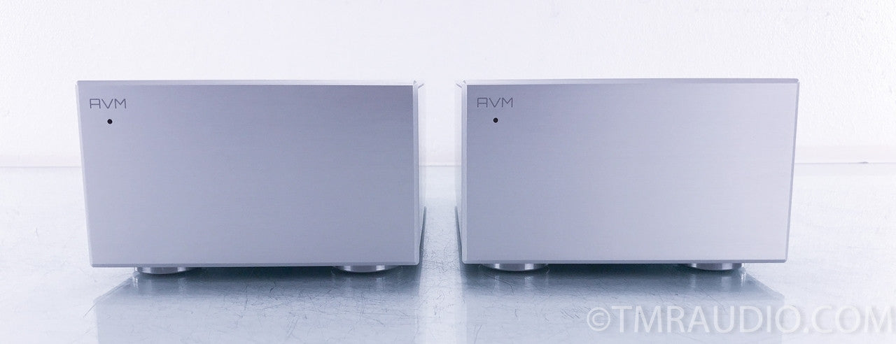 AVM Evolution MA3.2S Monoblock Power Amplifier
