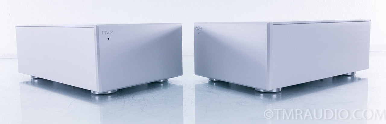AVM Evolution MA3.2S Monoblock Power Amplifier