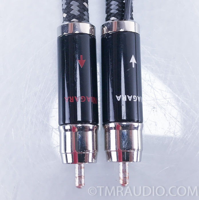 AudioQuest Niagara RCA Cables