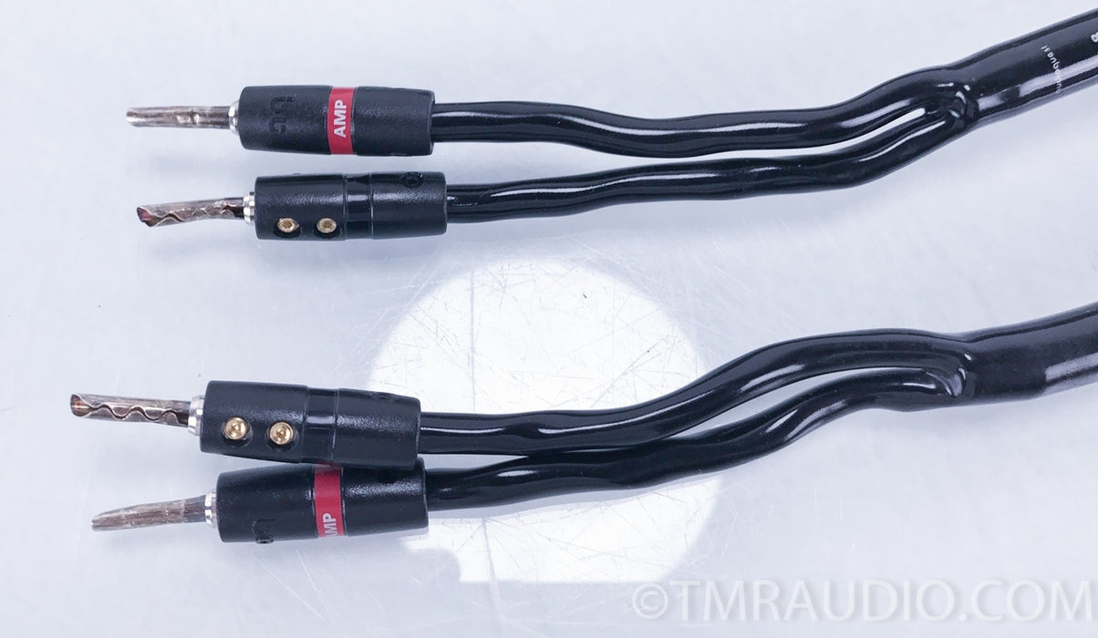 Audioquest CV-8 Speaker Cables