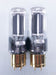 Cary CAD-805AE Mono Tube Amplifier Pair